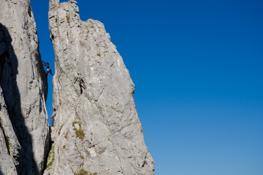 Diemtigtal-Niderhorn-Br..