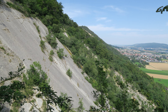 Oberbuchsiterplatten