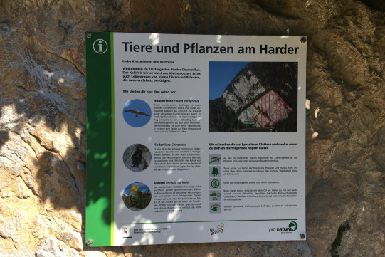 Harder-Infotafel
