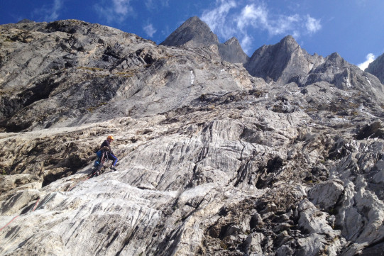 Engelhöhrner-Queen of D...