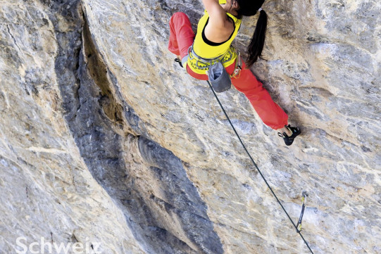 Neues aus dfem Filidor Verlag