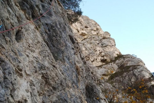 Balsthal-Sektor Odeon 