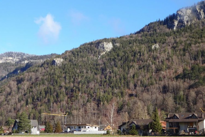 Meiringen-Zwärglinollen