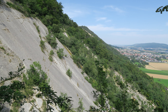 Oberbuchsiterplatten