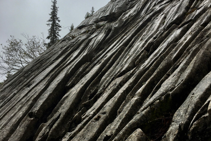 Gastlosen-Connaissance...