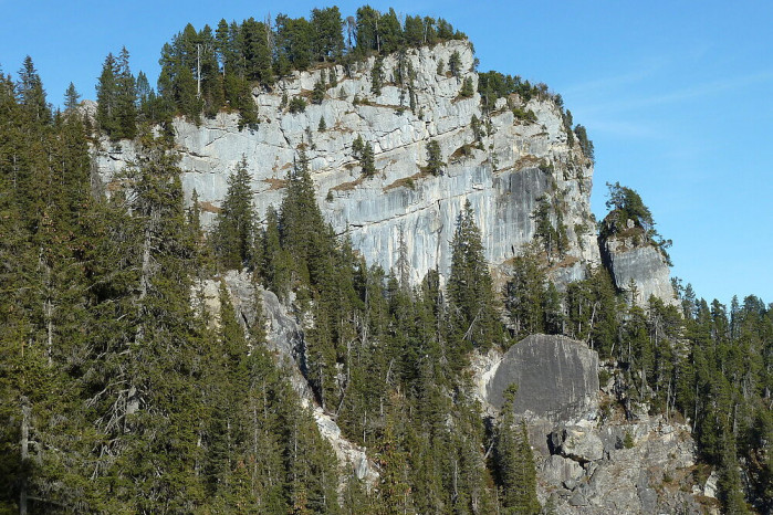 Bärglischwand-Berner Oberland
