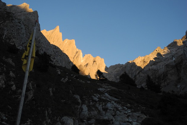 Engelhörner-Schrofenkönig