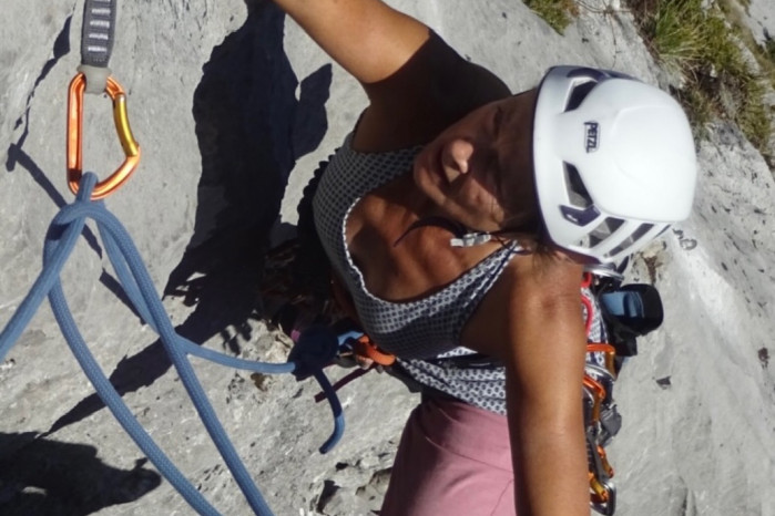 Gastlosen-Grand Orgue